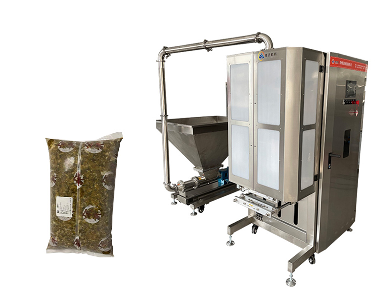 FM-G10全自動高速粘體稱重包裝機(jī)-螺桿泵